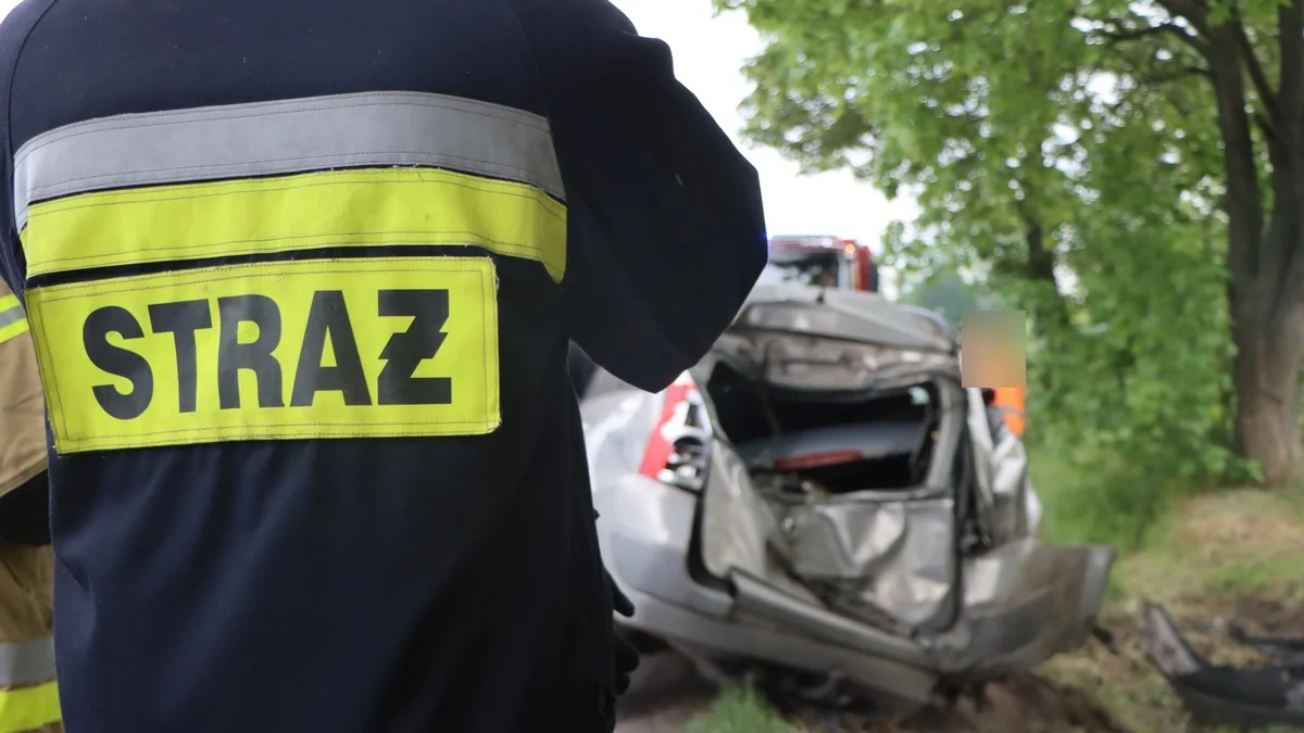 W Rogożewie autem uderzyła w drzewo [ZDJĘCIA] - Zdjęcie główne