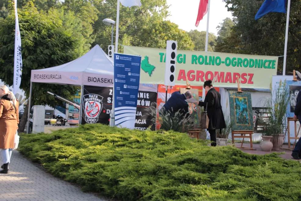 Wyróżnienie dla KGW w Witaszyczkach na targach w Marszewie