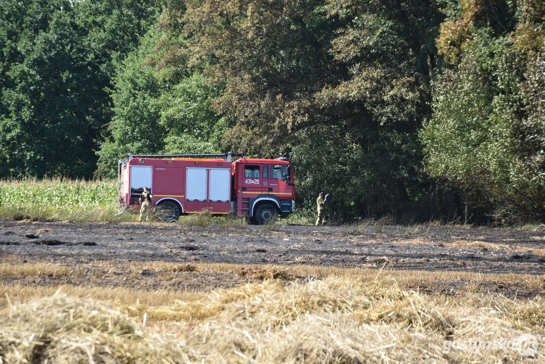 Pożar zboża w Osowie (gm. Gostyń)