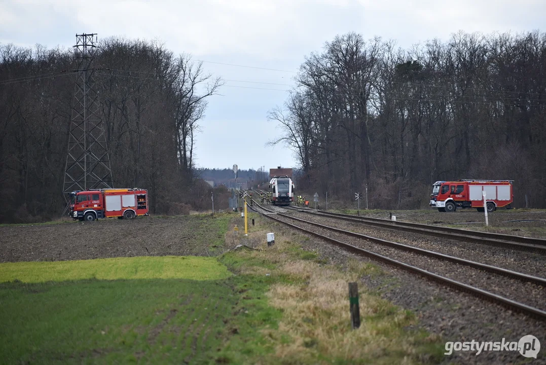 Zderzenie szynobusu relacji Ostrów Wlkp. - Leszno z drzewem