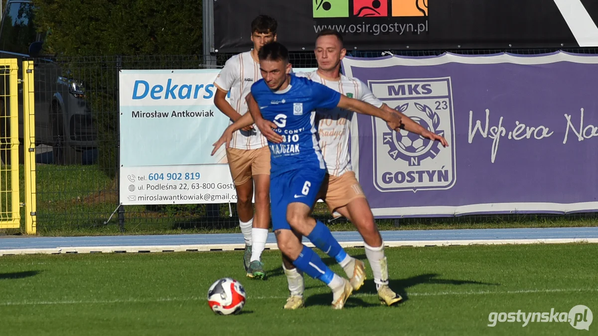 Kania Gostyń - Wisła Borek Wielkopolski 3 : 0