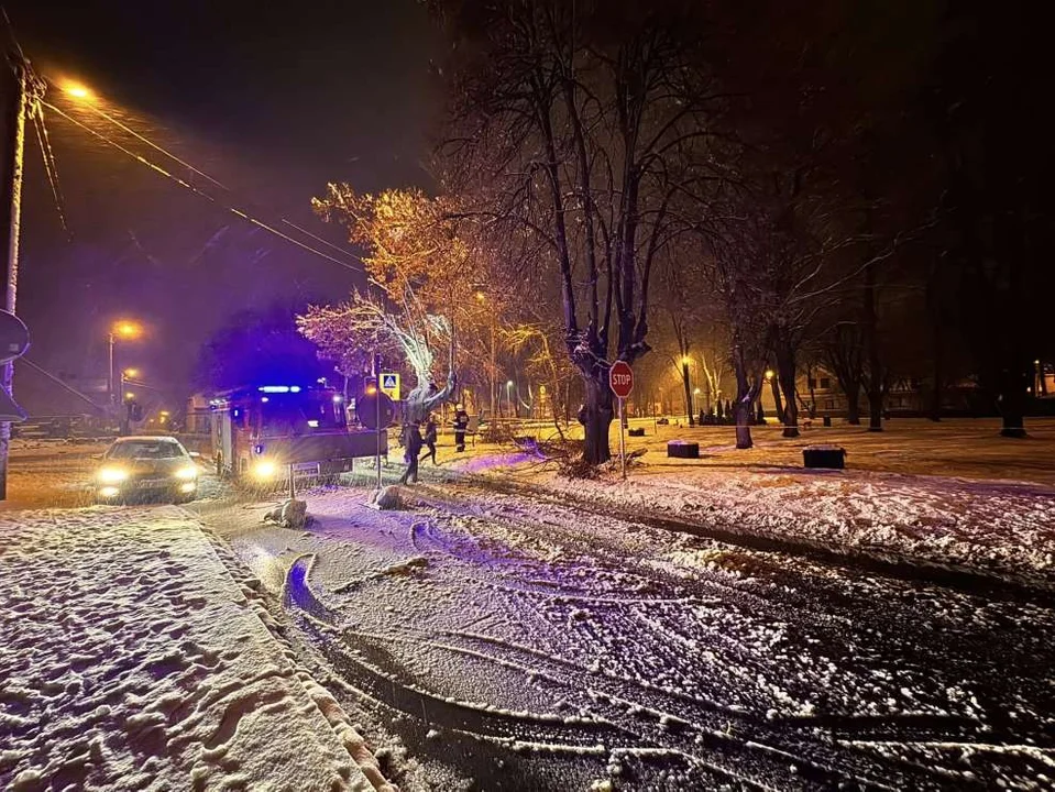 Strażacy usuwali skutki śnieżycy w powiecie jarocińskim