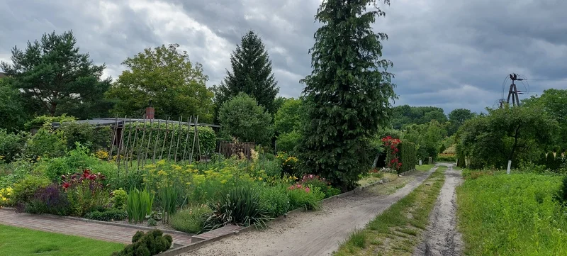 Co z ogródkami działkowymi w Jarocinie? Jakie plany ma miasto? Co się zmieni w terenach zielonych?