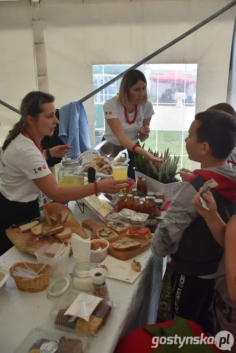 XIII Festiwal Tradycji i Folkloru w Domachowie 2025