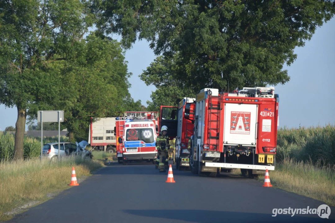 Wypadek na drodze za Pogorzelą