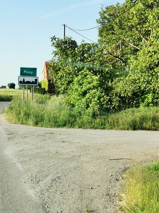 Mieszkańcy Witaszyc alarmują - na drodze jest niebezpiecznie. “Widoczność okropna” - Zdjęcie główne