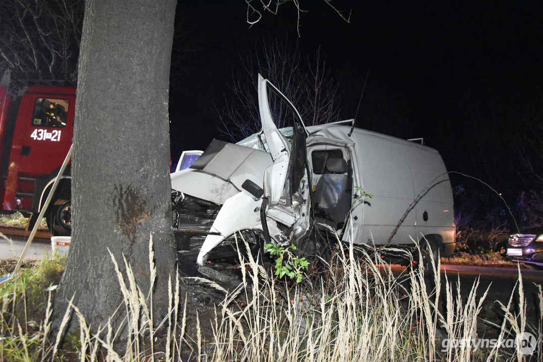 Czołówka z drzewem. Wypadek w Grodzisku (gm. Poniec)