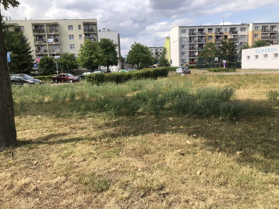 W Jarocinie powstanie wybieg dla psów. Nawet dwa na jednym osiedlu