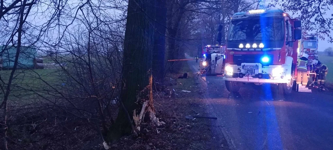 Auto na drodze powiatowej uderzyło w drzewo