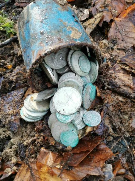 Krotoszyn. Przedwojenne monety znalezione w lesie