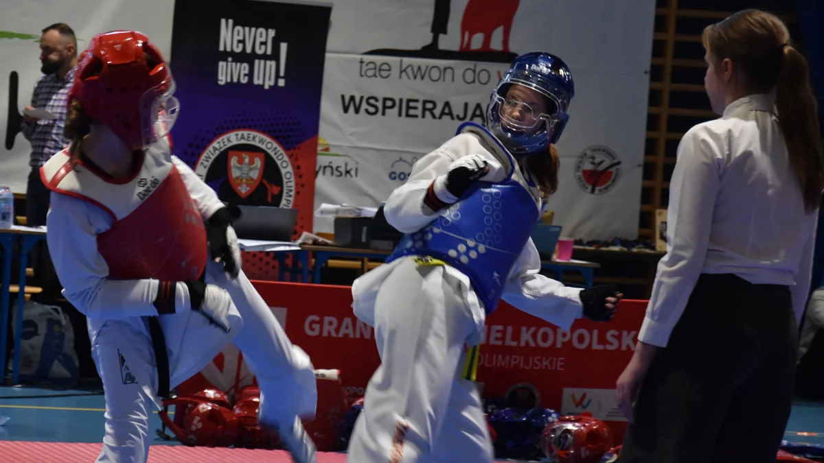 Grand Prix Wielkopolski w Taekwondo Olimpijskim w Gostyniu