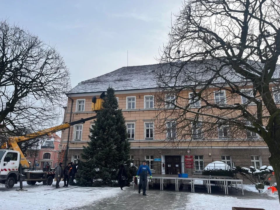 Pleszew stroi się na święta. Na Rynku pojawiła się ogromna choinka [ZDJĘCIA] - Zdjęcie główne