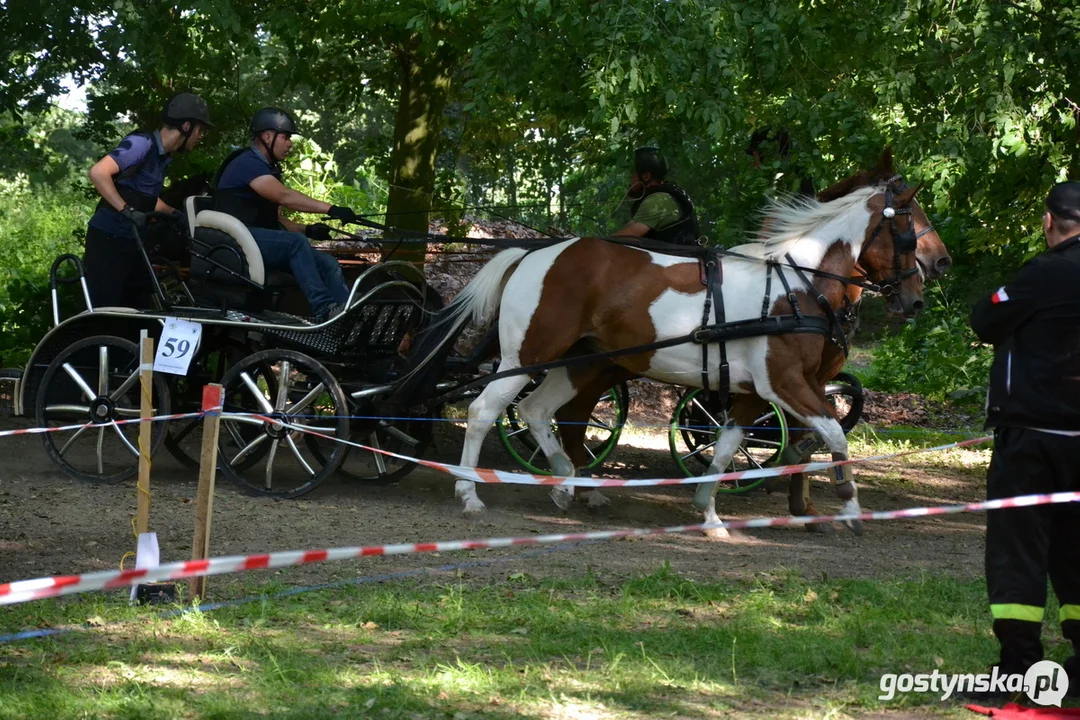 Rokosowo Horse Show 20224 - Konie i Powozy na Zamku Wielkopolskim w Rokosowie