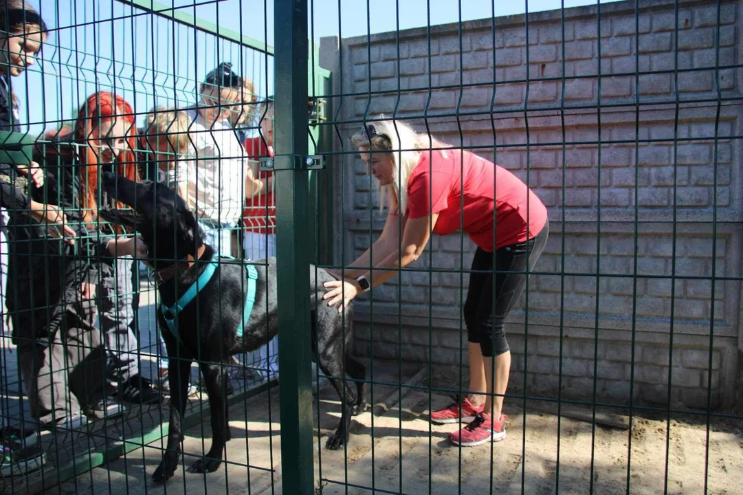 Dzień otwarty w Przytulisku dla Psów w Poniecu cieszył się zainteresowaniem. Już wkrótce niektóre psiaki mogą znaleźć nowy dom [ZDJĘCIA] - Zdjęcie główne