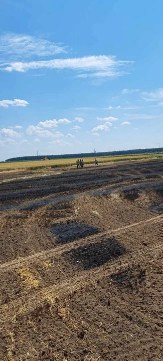 Pożar zboża na Głogówku i innych miejscowościach powiatu gostyńskiego