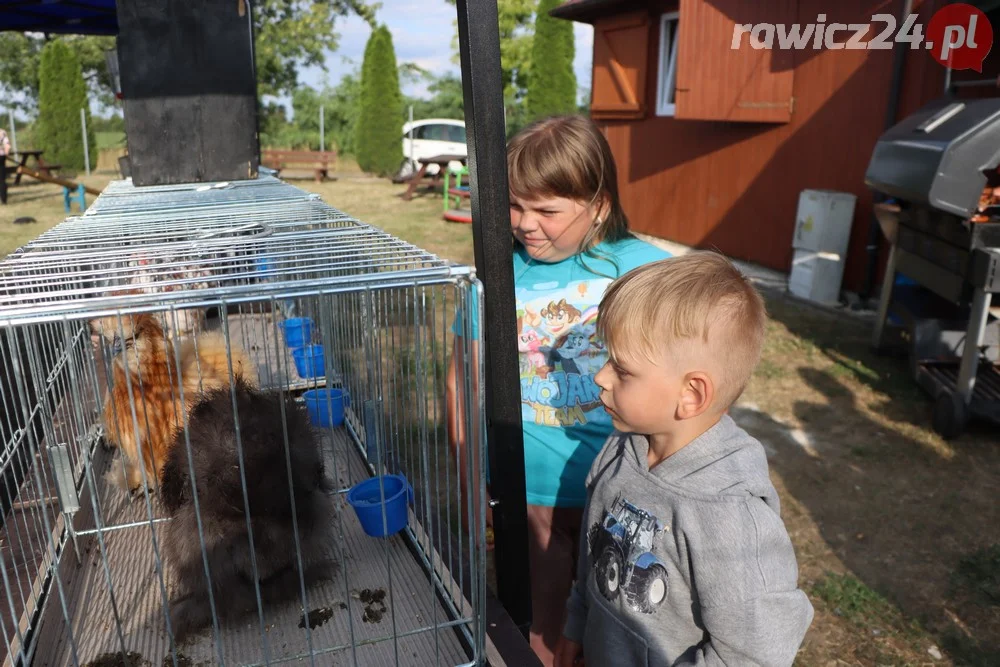 XI Festyn Rodzinny w Roszkówku