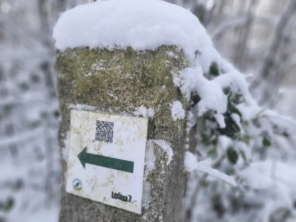 Zima w Gostyniu - zasypane śniegiem miasto