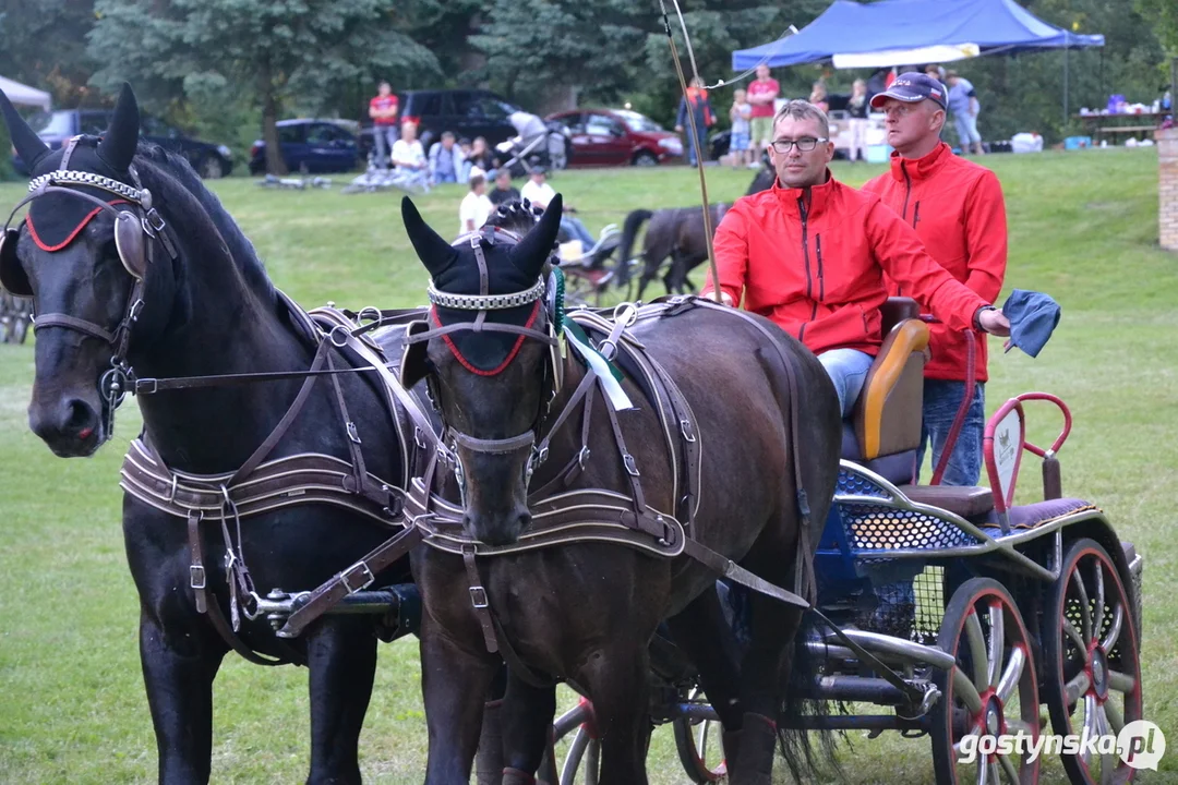 Rokosowo Horse Show 20224 - Konie i Powozy na Zamku Wielkopolskim w Rokosowie