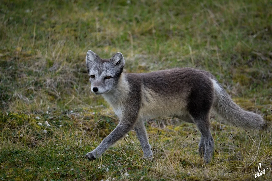 Wyprawa pleszewian na Spitsbergen