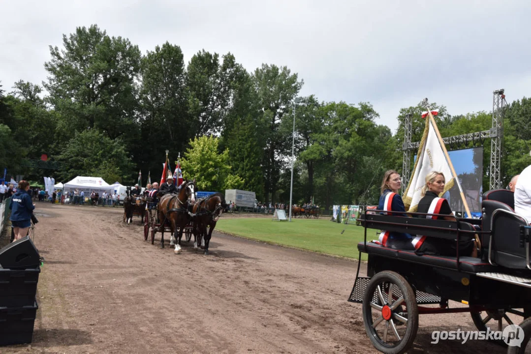 Jubileuszowa, bo XV Regionalna Wystawa Zwierząt Hodowlanych w Pudliszkach