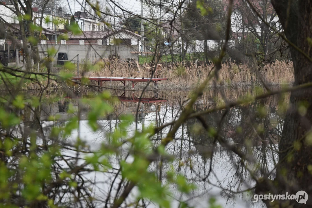 Gmina Gostyń planuje renowację stawów