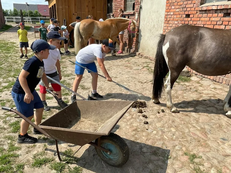 Krotoszyn. Letnie Półkolonie z Wodnikiem