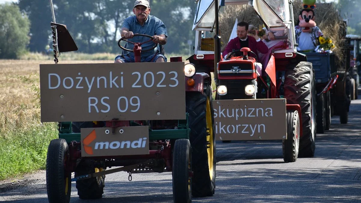 Dożynki powiatowe na Świętej Górze 2023. Parada zabytkowych pojazdów ciągnęła się przez 2 kilometry - Zdjęcie główne