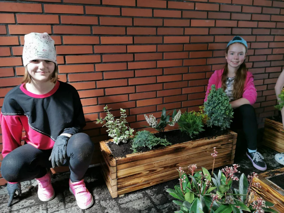 Rozkwitło wejście do budynku z pracowniami GOK Hutnik