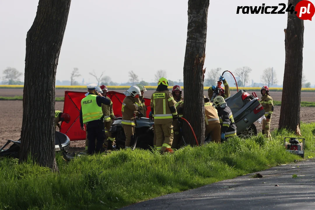 Pod Rawiczem auto rozbiło się na drzewie. Kierowca zginął - Zdjęcie główne