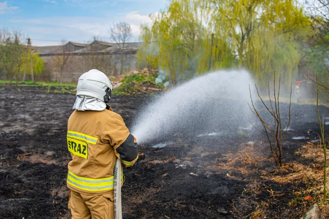 Zaprószenie ognia. Strażacy w akcji [ZDJĘCIA]