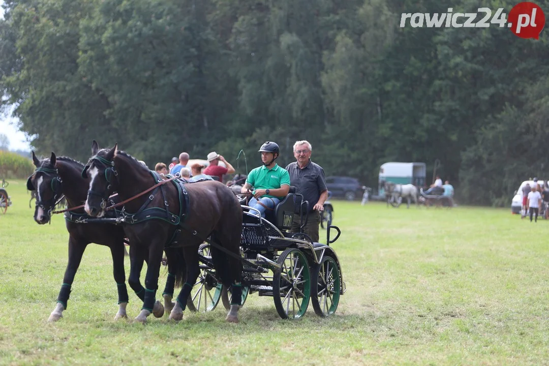 Zawody konne w Pakosławiu