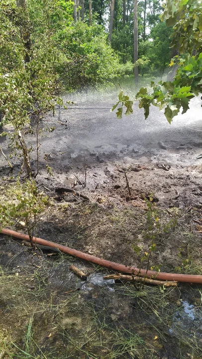 Pożar w podgostyńskim lesie