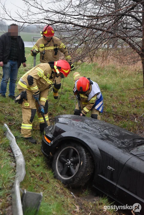 Mustang wpadł do stawu. Straż pożarna z Gostynia w akcji