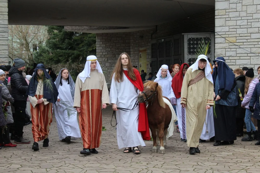 Jezus z kucykiem u franciszkanów w Jarocinie. Inscenizacja Niedzieli Palmowej [ZDJĘCIA] - Zdjęcie główne