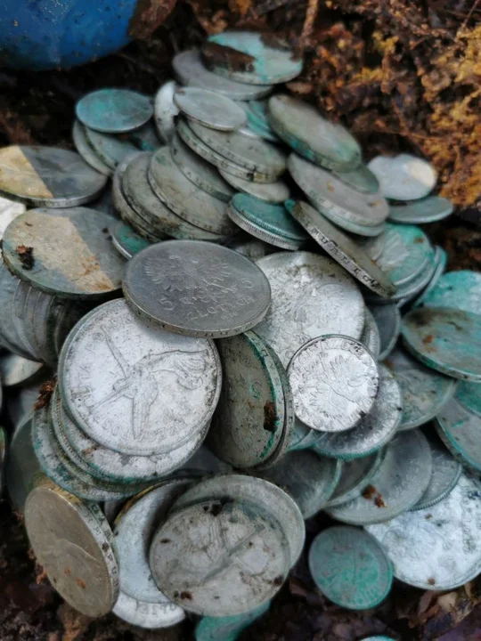 Krotoszyn. Przedwojenne monety znalezione w lesie