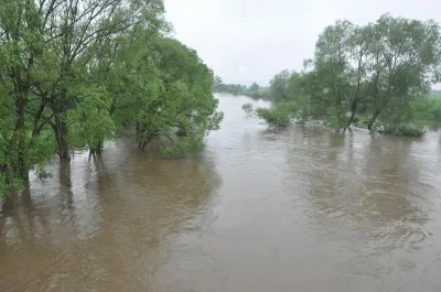 Nawałnice w Pleszewie i okolicy