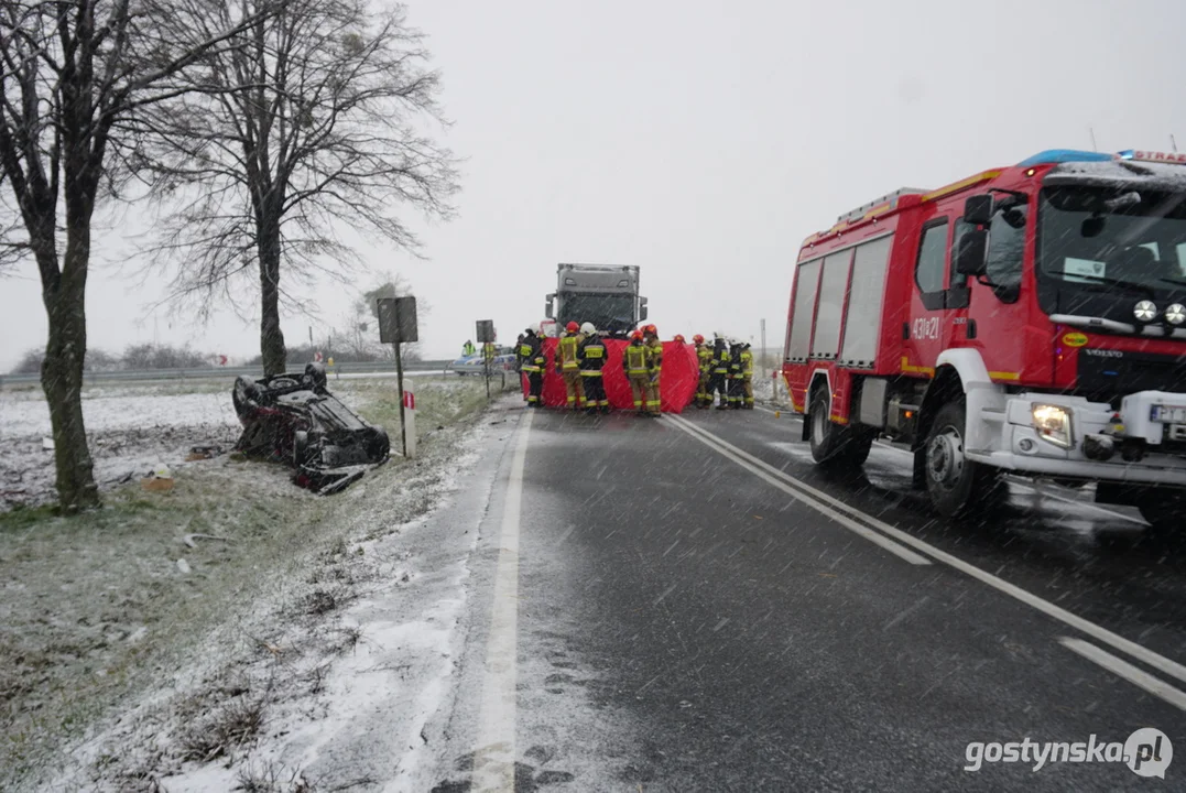 Śmiertelny wypadek na DK 12 w Dąbrówce