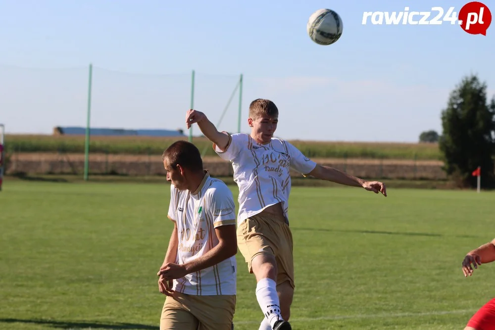 Awdaniec Pakosław - Wisła Borek Wielkopolski 2:5