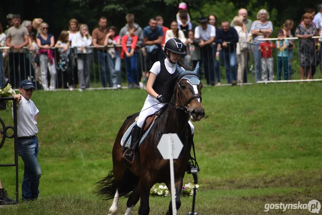 Rokosowo Horse Show - dzień drugi