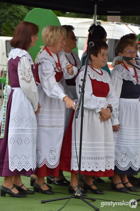 XIX Prezentacje Zespołów Ludowych Wielkopolski - Borek Wlkp. 2024