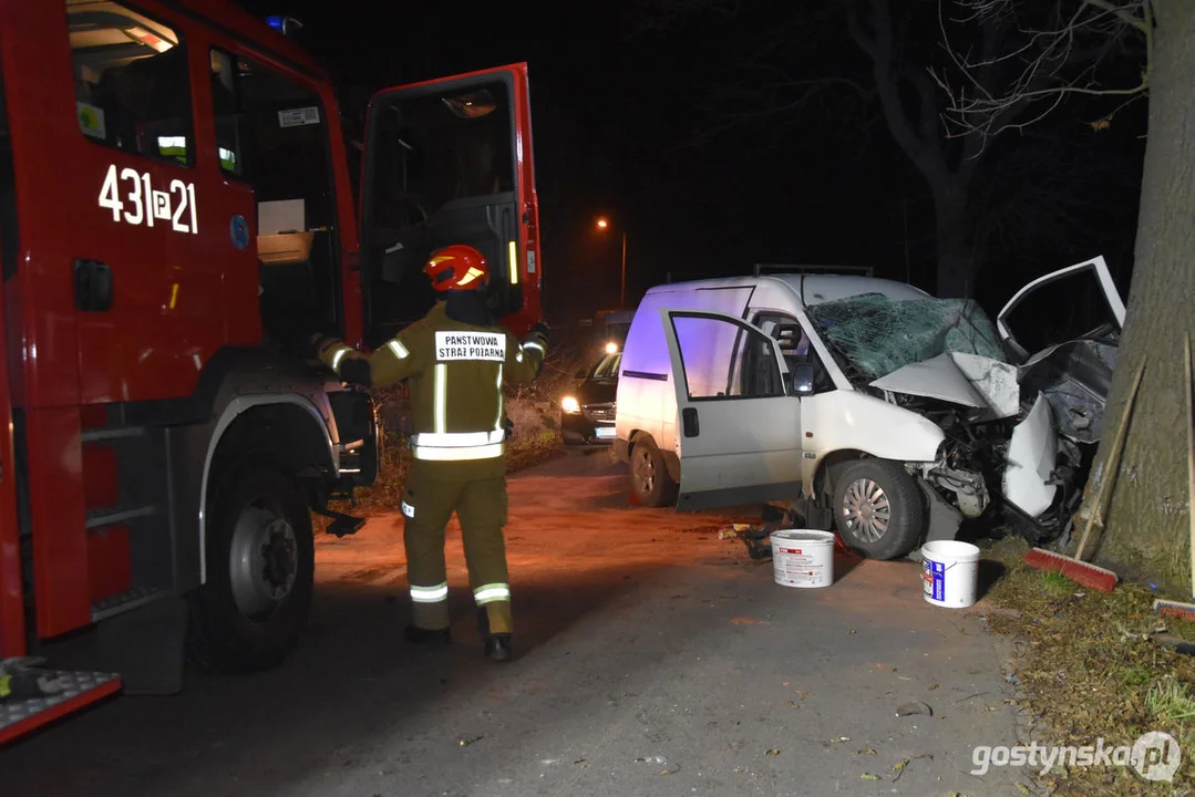 Czołówka z drzewem. Wypadek w Grodzisku (gm. Poniec)