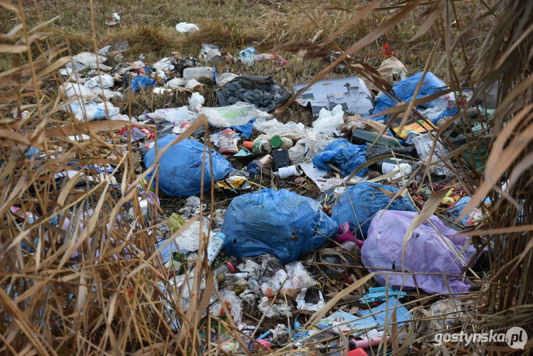 Złapano sprawcę wyrzucenia śmieci przy drodze Żytowiecko – Chumiętki - Zdjęcie główne