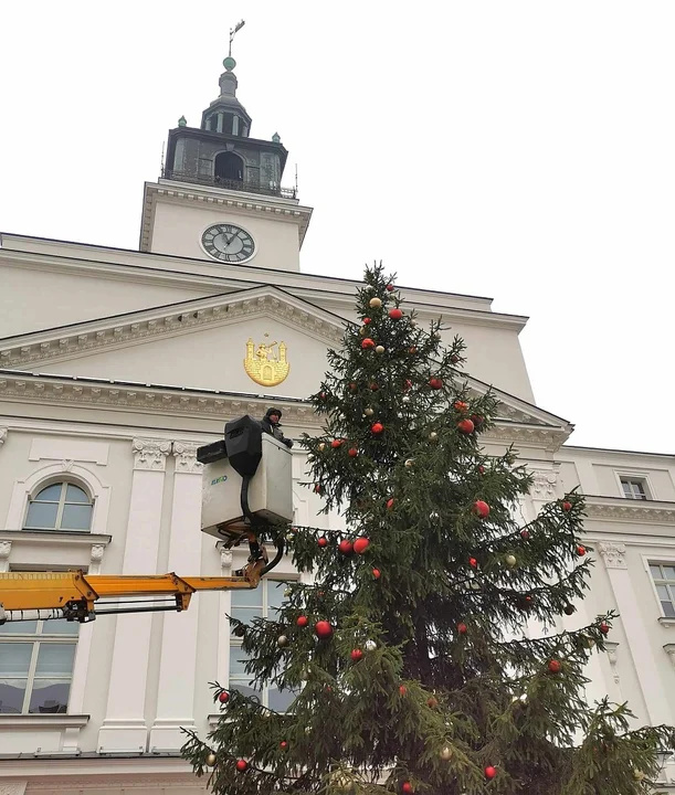 Miasto zapala iluminacje i wstawia żywą choinkę na rynek