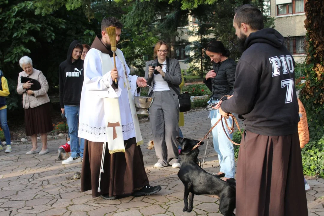 U franciszkanów w Jarocinie z okazji odpustu błogosławiono zwierzęta