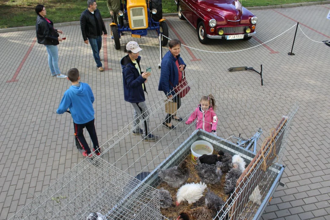 I Jarociński Dzień Kolekcjonera i Pasjonata w ZSP nr 1 w Jarocinie