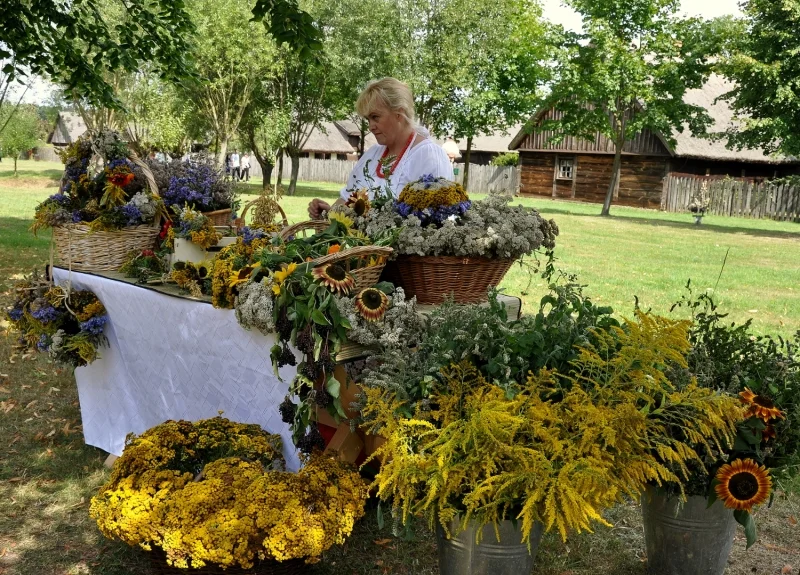 Dzień pod znakiem ziół w skansenie. Poznasz tajniki zielarek! - Zdjęcie główne