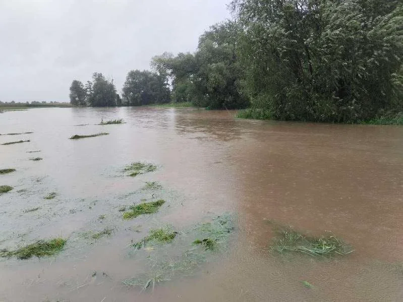 Zalania w Gołuchowie. Poszkodowani rolnicy mogą składać wnioski - Zdjęcie główne