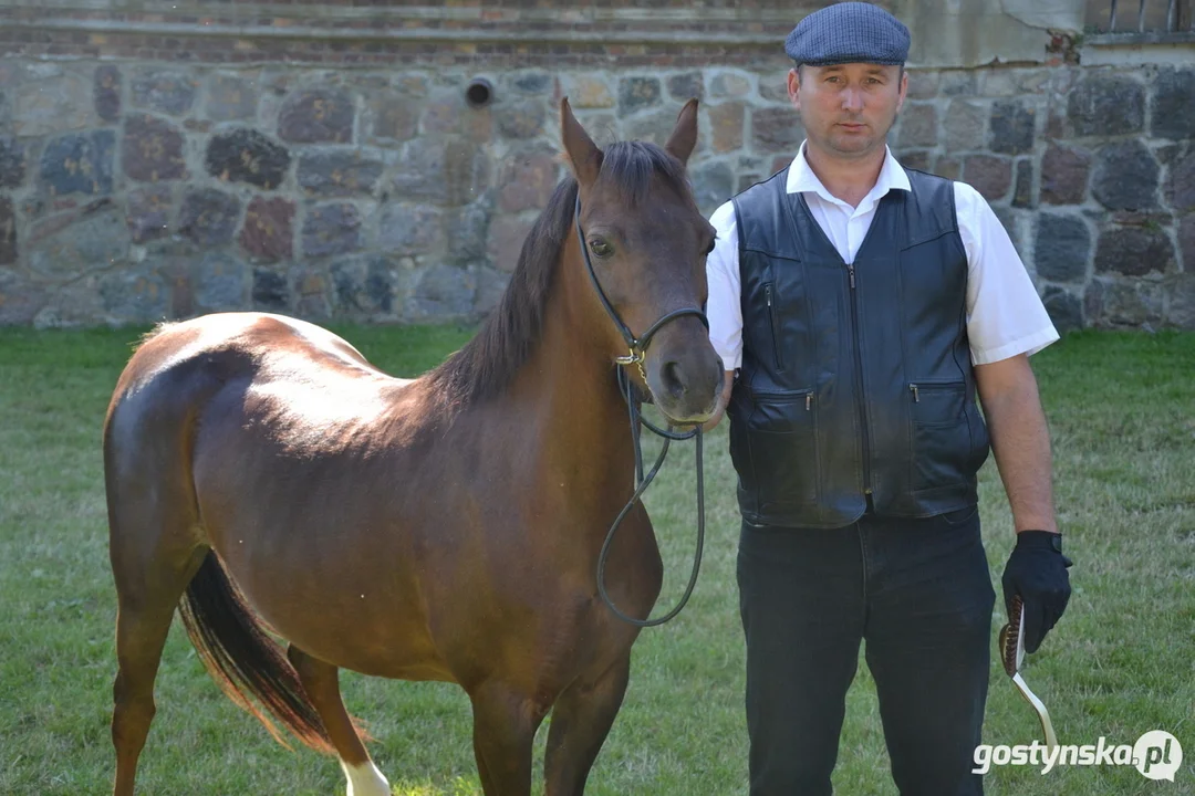 Rokosowo Horse Show 20224 - Konie i Powozy na Zamku Wielkopolskim w Rokosowie