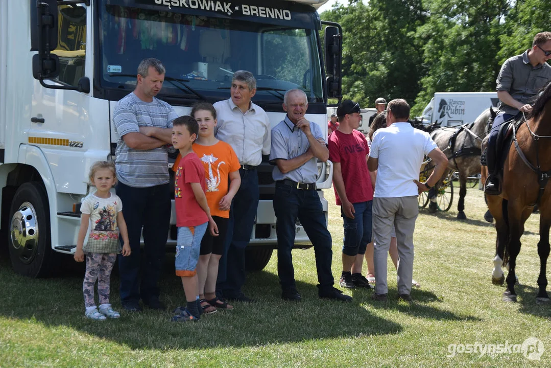 Zawody konne w powożeniu zaprzęgami  w Pępowie