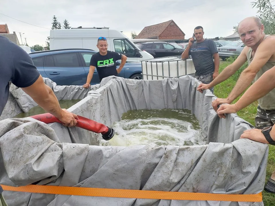 Rewitalizacja stawów w Strzelcach Wielkich i Strzelcach Małych